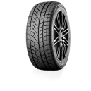EVERGREEN