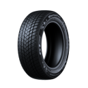 GT-RADIAL