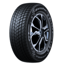 GT-RADIAL